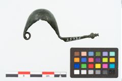 Foto von Bronzekahnfibel (NHMW-PRAE-025336)